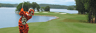 Young Alumni Play Golf Like a Tiger!