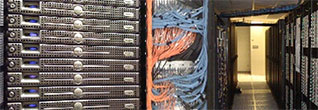 The Palmetto Cluster